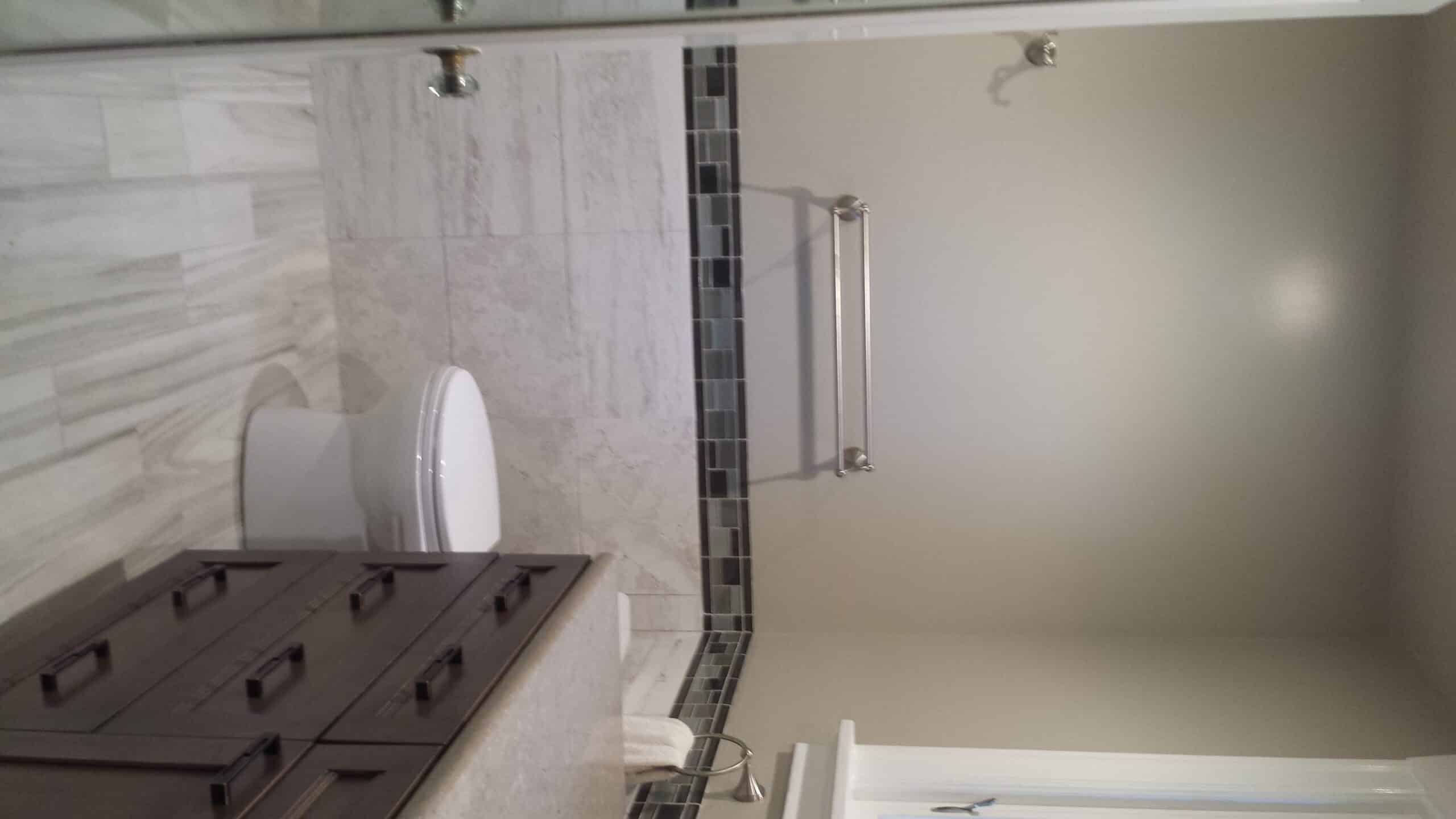 New Skirted Toilet